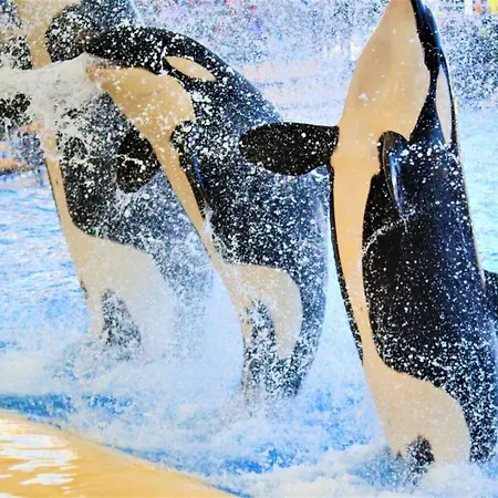 Apartment Modern In Adeje, 65 Sqm, Year-round Pool Costa Adeje (Tenerife)