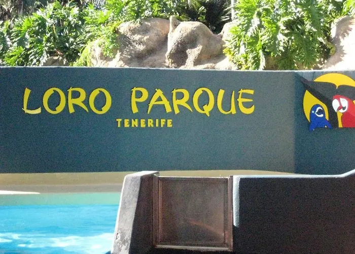 Modern In Adeje, 65 Sqm, Year-round Pool *