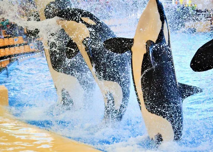 דירה Modern In Adeje, 65 Sqm, Year-round Pool אדחה